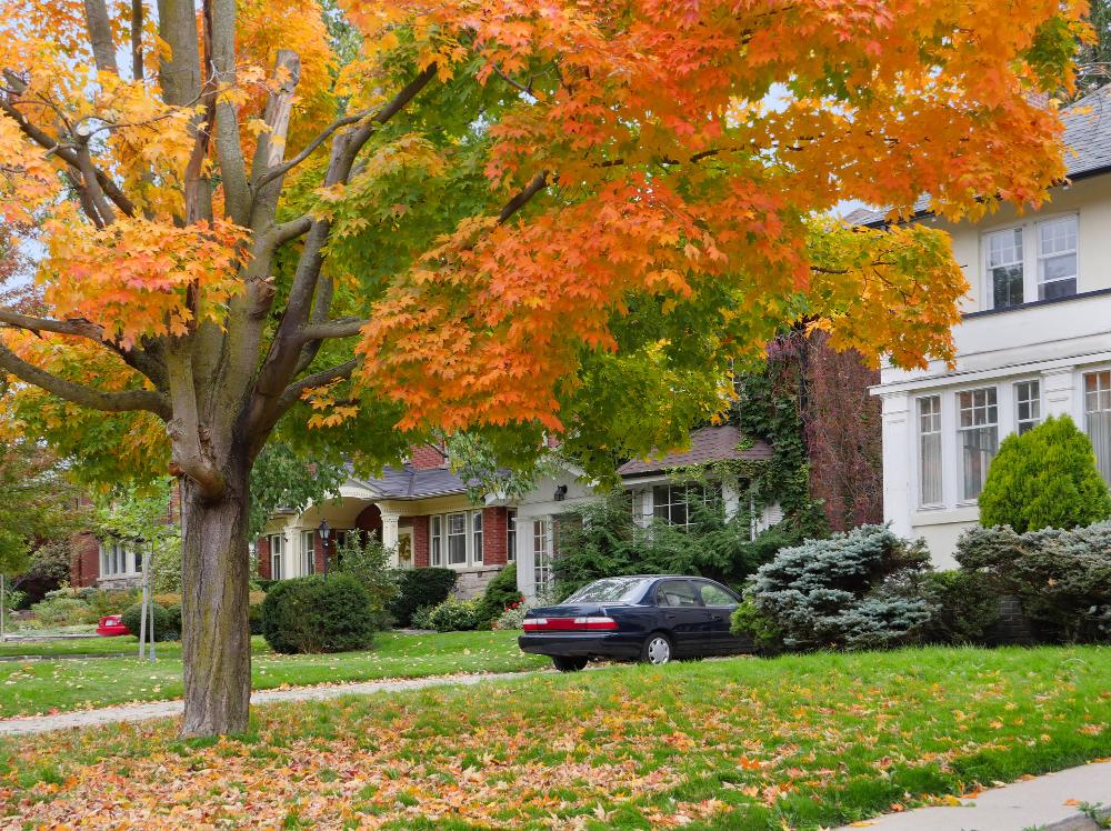 Selling Your House In The Fall